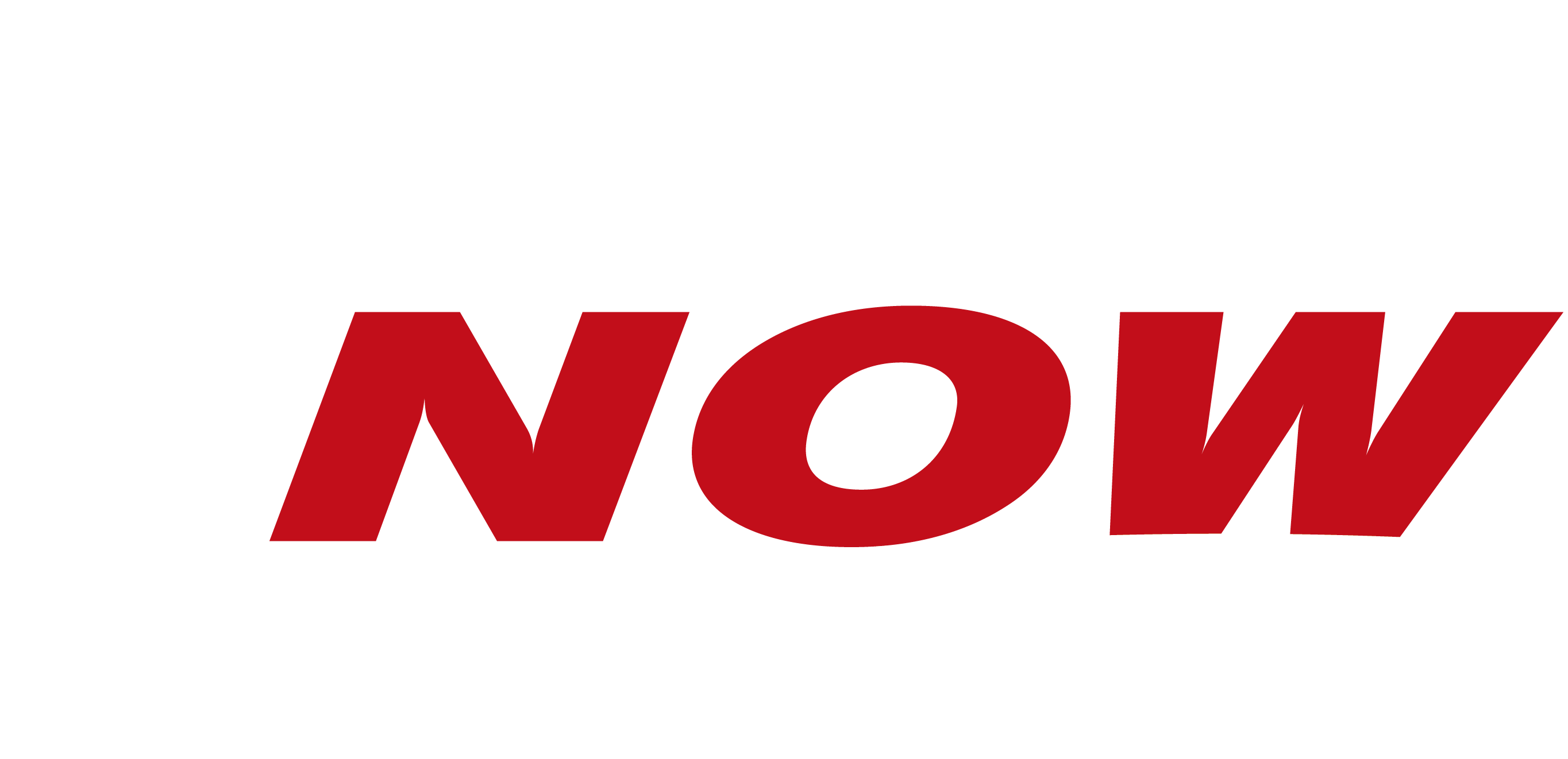 ServicesNow Group Logo